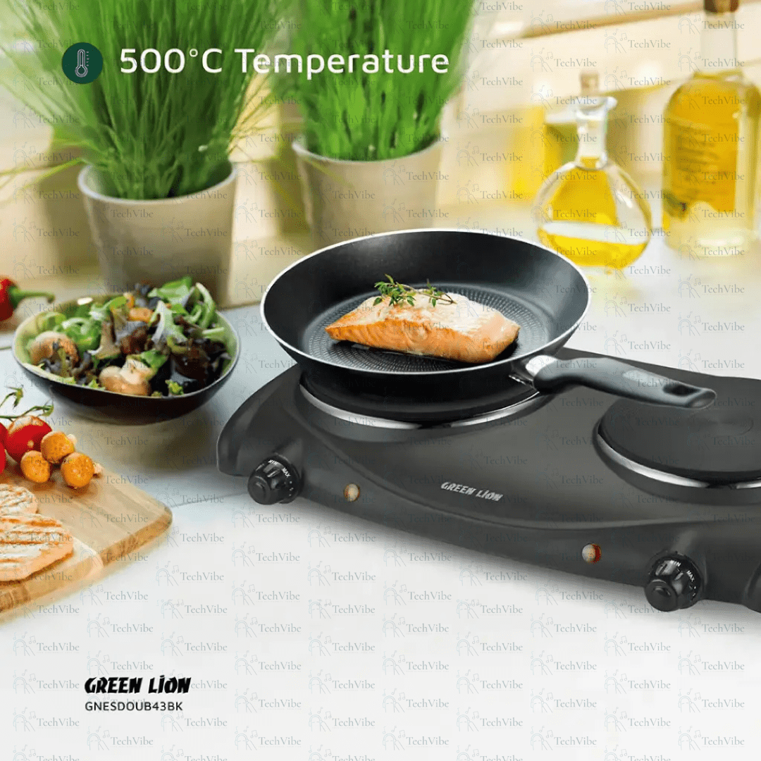 Green Lion Electric Stove Double Hot Plate - TechVibe