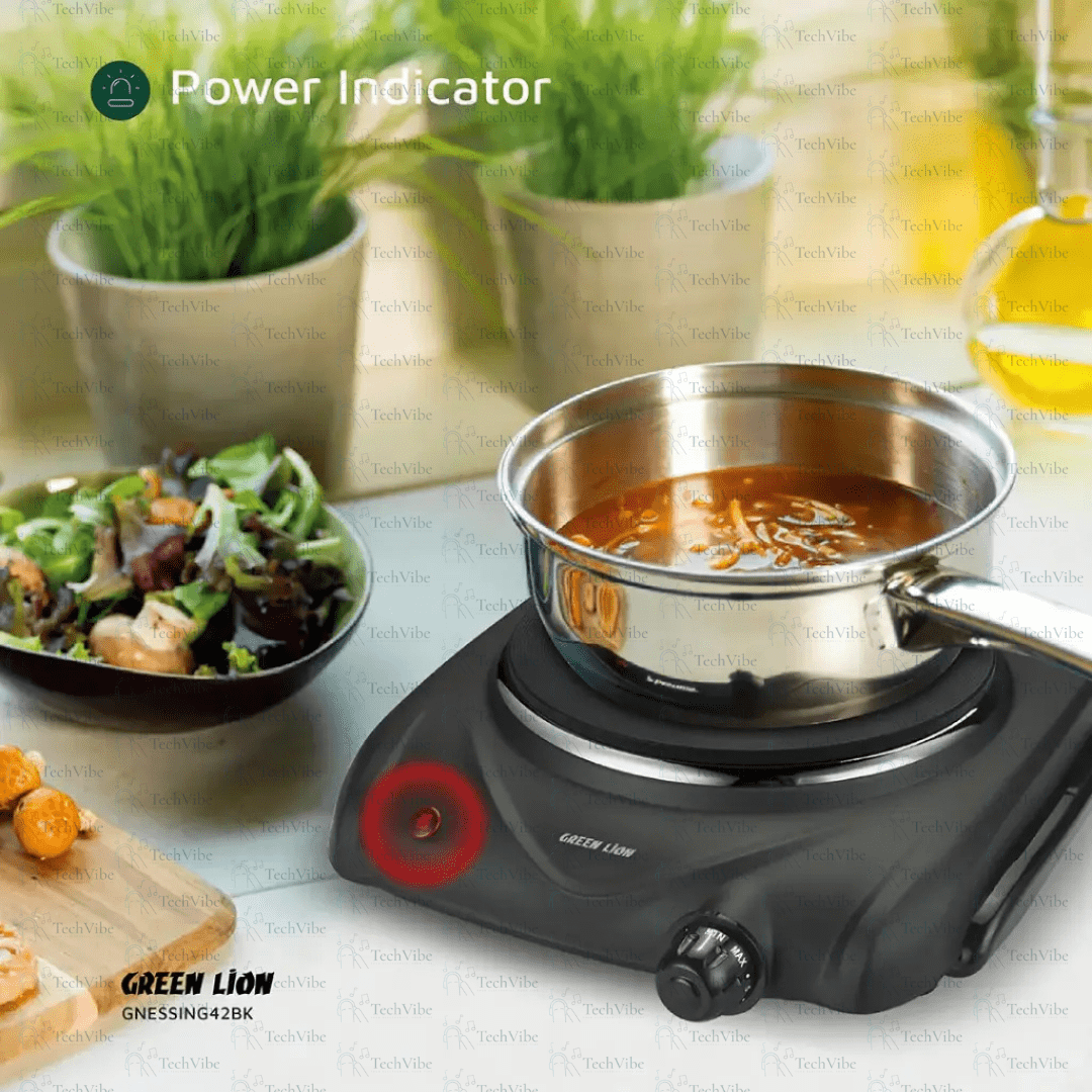 Green Lion Electric Stove Single Hot Plate - TechVibe