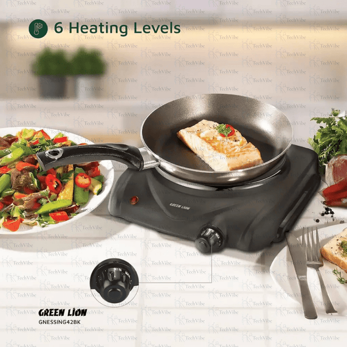 Green Lion Electric Stove Single Hot Plate - TechVibe