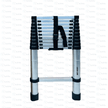 Green Lion Telescopic Ladder 3.2m Single Side - TechVibe